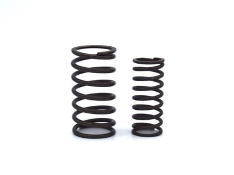 Valve Spring Set - Exhaust and Inlet